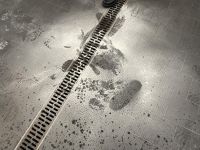 IMG-20240313-WA0011