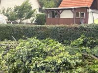 K1600_IMG_0251