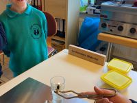 8f61cf2f-1ff9-4f8e-b706-fa634e47ada2