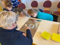 994d2f71-38e8-4199-b7d4-d2fbeef1ff6d