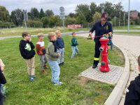 IMG-20250917-WA0031