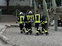 K1600_IMG_6253