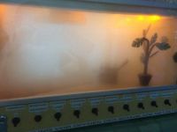 Renov__Rauchhaus_20_08_1513