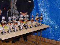 Stadtfeuerwehrt__2015_Siegerehrung1