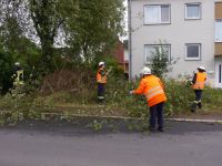 Baum_auf-Strasse_Dorla_12_07_201713