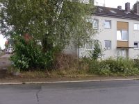 Baum_auf-Strasse_Dorla_12_07_201718