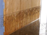 Unwetter_Gudensberg17