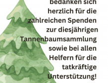 Tannenbaumsammlung der Jugendfeuerwehren am 10.01.2026