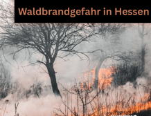 Erhöhte Waldbrandgefahr – Wir bitten um Vorsicht