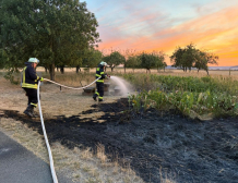 Einsatz, 01.08.2026, 21:08 Uhr, F1 Brand Grasfläche