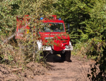 Einsatz, 11.08.2026, 13:21 Uhr, F Wald 2